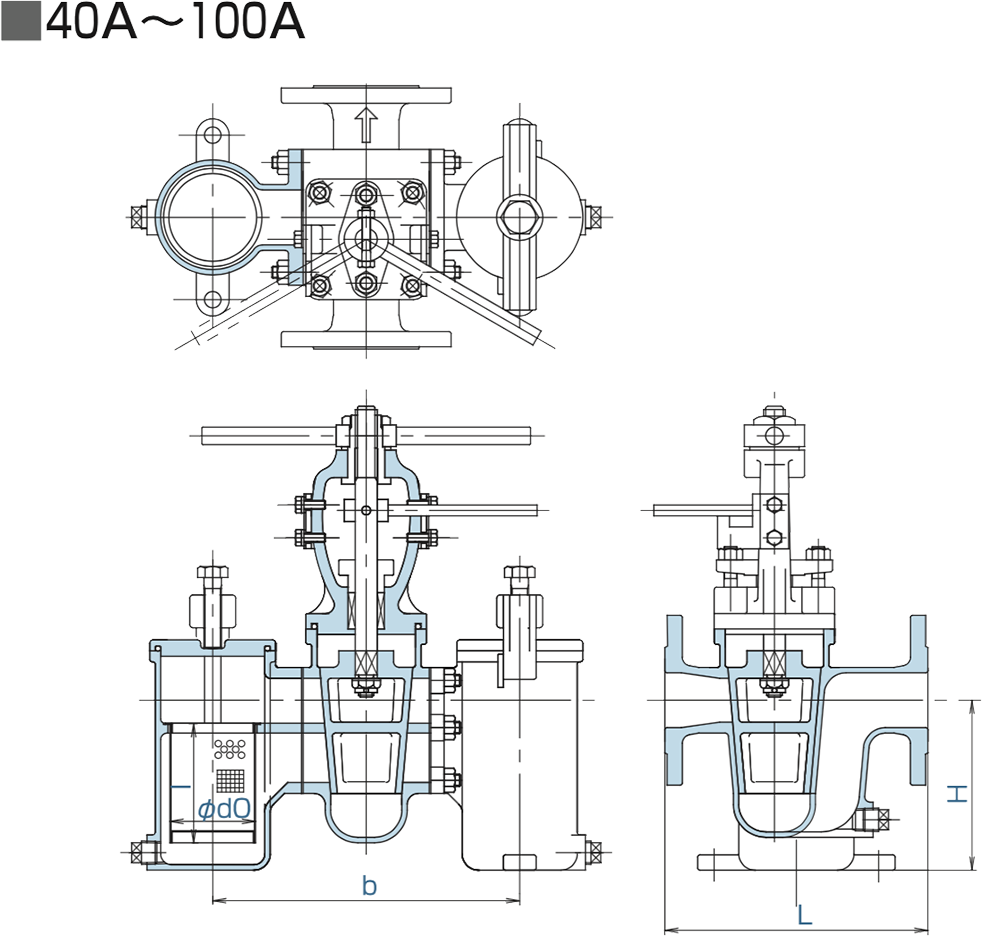 フランジ式複式ストレーナー図面40A〜100A